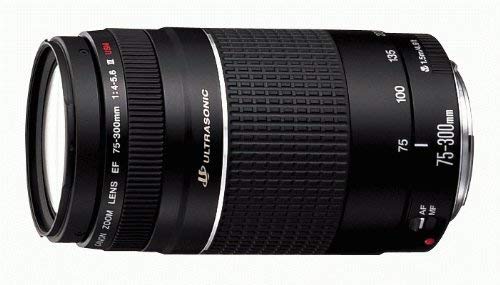 EF75-300mm f4-5.6 III EF75-300mm f4-5.6 III